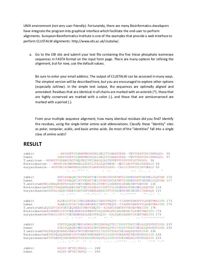 lab8biochem single letter amino acid