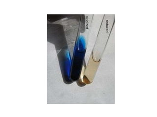 lab 9. vitamin c determination.pptx