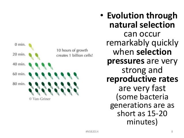 Can Natural Selection Occur Without Evolution Can Natural Selection Occur Without Evolution