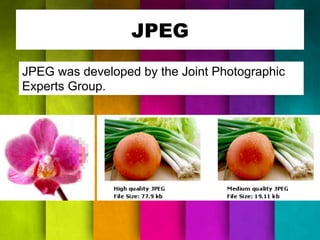 JPEG 
JPEG was developed by the Joint Photographic 
Experts Group. 
 