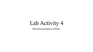 Lab Activity 4
Photoducumentation of Plates
 