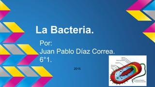 La Bacteria.
Por:
Juan Pablo Díaz Correa.
6°1.
2015
 