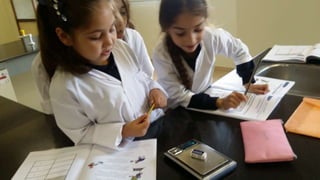 measuring mass by digital balance 