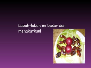Scrunchie Labah Labah Labah Labah V2 | PPT