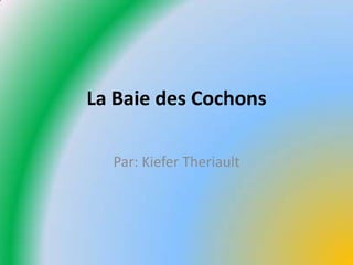 La Baie des Cochons Par: Kiefer Theriault 