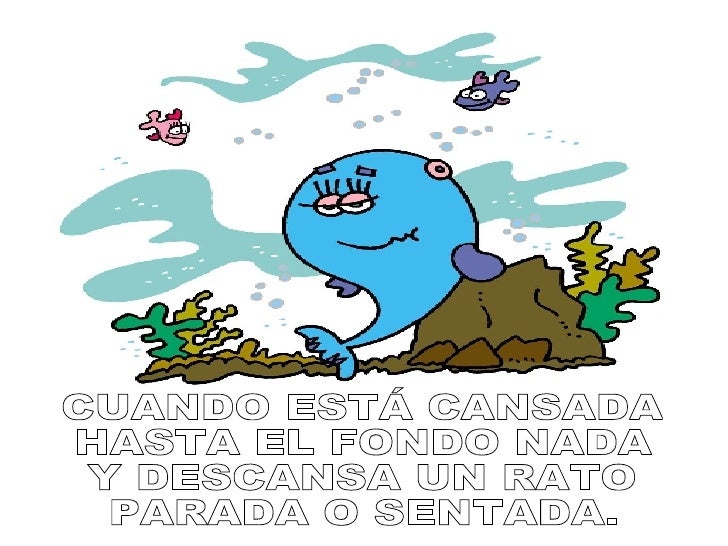 Resultat d'imatges per a "cuento la ballena elena"