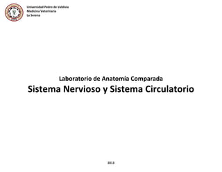 Laboratorio de Anatomía Comparada
Sistema Nervioso y Sistema Circulatorio
2013
Universidad Pedro de Valdivia
Medicina Veterinaria
La Serena
 