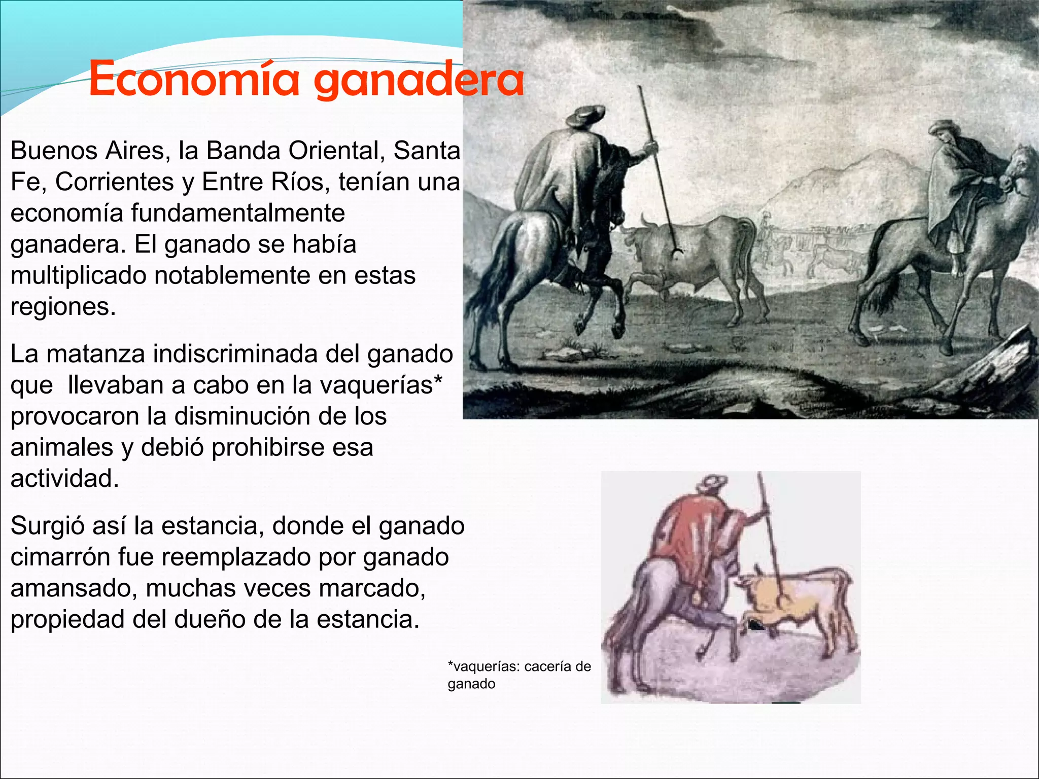 Economía ganadera 
Buenos Aires, la Banda Oriental, Santa 
Fe, Corrientes y Entre Ríos, tenían una 
economía fundamentalmente 
ganadera. El ganado se había 
multiplicado notablemente en estas 
regiones. 
La matanza indiscriminada del ganado 
que llevaban a cabo en la vaquerías* 
provocaron la disminución de los 
animales y debió prohibirse esa 
actividad. 
Surgió así la estancia, donde el ganado 
cimarrón fue reemplazado por ganado 
amansado, muchas veces marcado, 
propiedad del dueño de la estancia. 
*vaquerías: cacería de 
ganado 
 