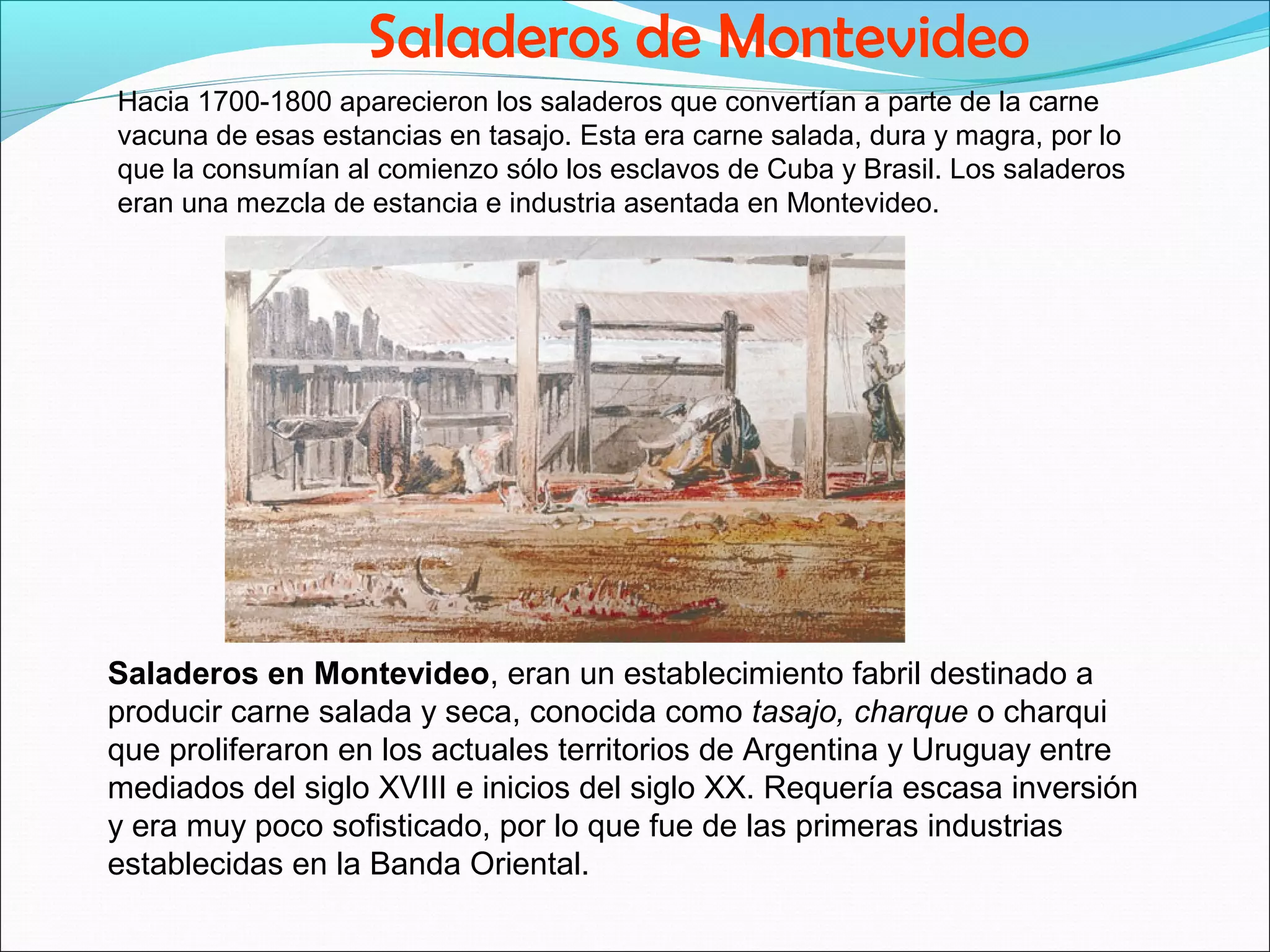 Saladeros de Montevideo 
Hacia 1700-1800 aparecieron los saladeros que convertían a parte de la carne 
vacuna de esas estancias en tasajo. Esta era carne salada, dura y magra, por lo 
que la consumían al comienzo sólo los esclavos de Cuba y Brasil. Los saladeros 
eran una mezcla de estancia e industria asentada en Montevideo. 
Saladeros en Montevideo, eran un establecimiento fabril destinado a 
producir carne salada y seca, conocida como tasajo, charque o charqui 
que proliferaron en los actuales territorios de Argentina y Uruguay entre 
mediados del siglo XVIII e inicios del siglo XX. Requería escasa inversión 
y era muy poco sofisticado, por lo que fue de las primeras industrias 
establecidas en la Banda Oriental. 
 