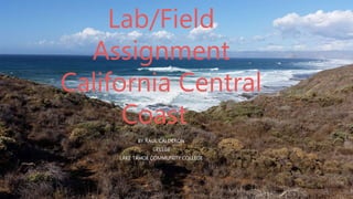 Lab/Field
Assignment
California Central
Coast
BY RAUL CALDERON
GEL103
LAKE TAHOE COMMUNITY COLLEGE
 
