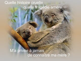 Quelle histoire cruelle quelle tragédie amère M’a privée à jamais de connaître ma mère ? 