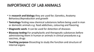 laboratory animals and regulatory compliance.pptx