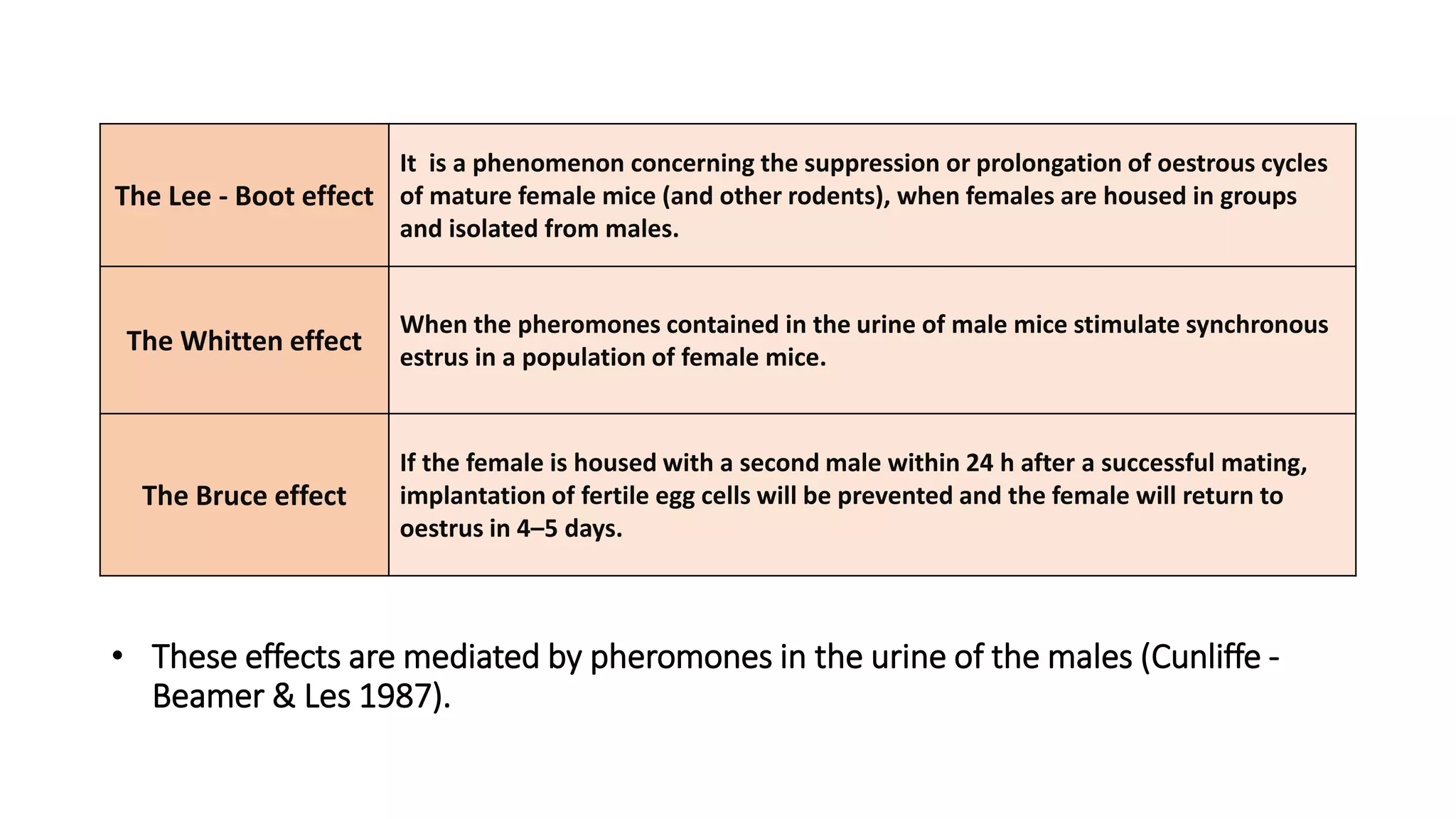 Lab Animal Breeding | PPTX