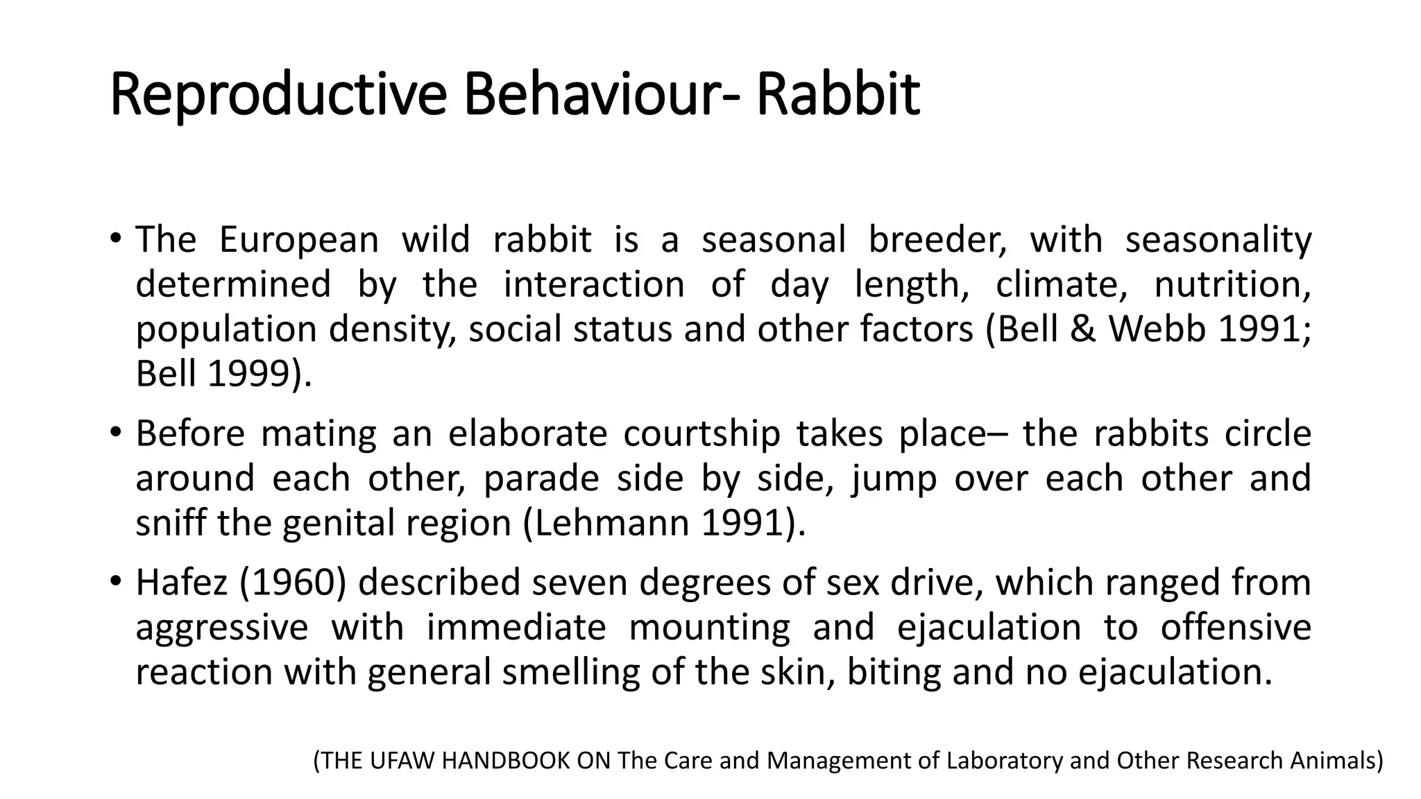 Lab Animal Breeding | PPTX