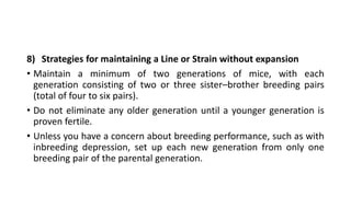 Lab animal breeding (2) | PPTX