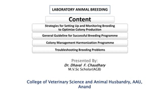LABORATORY ANIMAL BREEDING
Presented By:
Dr. Dhaval F. Chaudhary
M.V.Sc Scholar(AGB)
College of Veterinary Science and Animal Husbandry, AAU,
Anand
Content
Strategies for Setting Up and Monitoring Breeding
to Optimize Colony Production
General Guideline for Successful Breeding Programme
Colony Management Harmonization Programme
Troubleshooting Breeding Problems
 