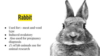 Lab animal data | PDF