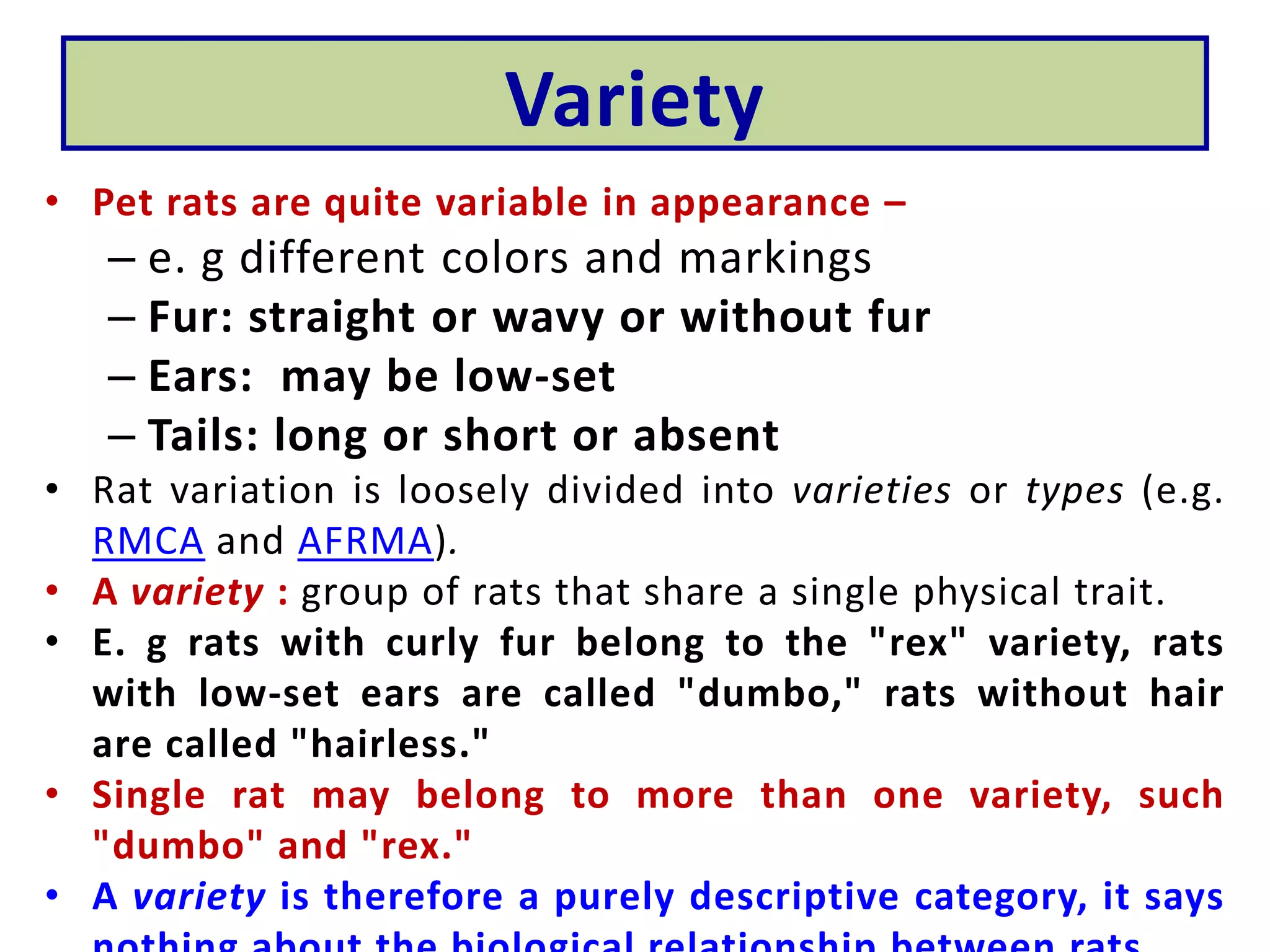 Laboratory animals | PPTX