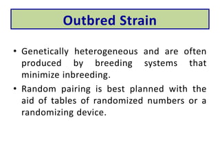 Outbred Laboratory animals | PPTX