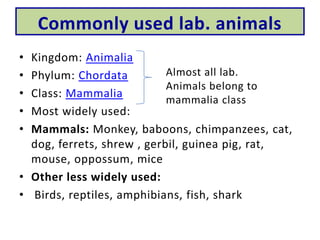 Laboratory animals