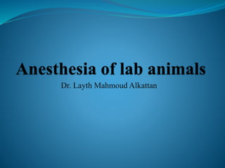 Dr. Layth Mahmoud Alkattan
 