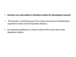 Lab animals in toxicology 7 | PPT
