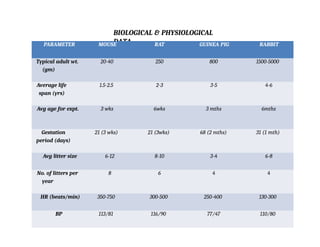 Common Laboratory Animals Used in Pharmacology by TOQIR AHMED | PPTX
