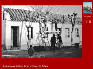 110
Reparación de tejados de las viviendas de Cañero
imagen
 