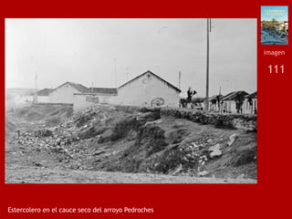111
Estercolero en el cauce seco del arroyo Pedroches
imagen
 