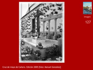 127
Cruz de mayo de Cañero. Edición 2005 [foto: Manuel González]
imagen
 