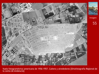 55
Vuelo fotogramétrico americano de 1956-1957. Cañero y alrededores [Ortofotografía Regional de
la Junta de Andalucía]
imagen
 