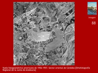 88
Vuelo fotogramétrico americano de 1956-1957. Sector oriental de Córdoba [Ortofotografía
Regional de la Junta de Andalucía]
imagen
 