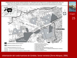 25
Urbanización del ruedo huertano de Córdoba. Sector noroeste [Torres Márquez, 2006]
imagen
 
