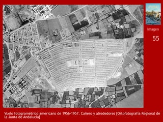 55
Vuelo fotogramétrico americano de 1956-1957. Cañero y alrededores [Ortofotografía Regional de
la Junta de Andalucía]
im...