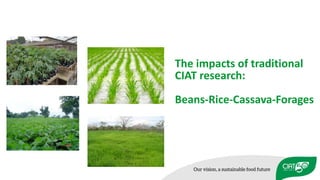 Impacts of 50 years of CIAT research on Tropical Agriculture