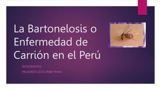 La Bartonelosis o
Enfermedad de
Carrión en el Perú
INTEGRANTES:
MILAGROS LELIS URIBE RIVAS
 