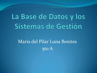 María del Pilar Luna Benites
           5to A
 