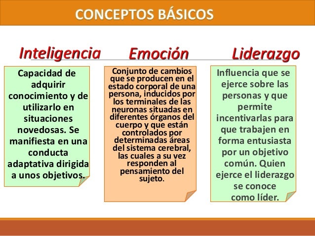 La base de la inteligencia emocional son las