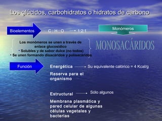 Los glúcidos, carbohidratos o hidratos de carbonoLos glúcidos, carbohidratos o hidratos de carbono
Bioelementos C : H : O 1:2:1
Monómeros
Los monómeros se unen a través de
enlace glucosidico
• Solubles y de sabor dulce (no todos)
• Se unen formando disacáridos y polisacáridos
Función Energética
Reserva para el
organismo
Su equivalente calórico = 4 Kcal/g
Estructural
Membrana plasmática y
pared celular de algunas
células vegetales y
bacterias
Sólo algunos
 