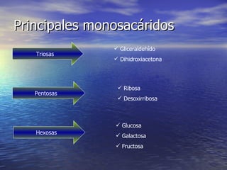 Principales monosacáridos Triosas Gliceraldehído Dihidroxiacetona Pentosas Ribosa Desoxirribosa Hexosas Glucosa Galactosa Fructosa 