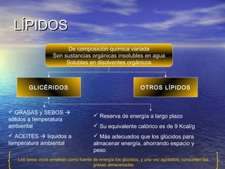 LÍPIDOS
                        De composición química variada
                   Son sustancias orgánicas insolubles en agua
                        Solubles en disolventes orgánicos



        GLICÉRIDOS                                            OTROS LÍPIDOS



 GRASAS y SEBOS 
                                        Reserva de energía a largo plazo
sólidos a temperatura
ambiental                               Su equivalente calórico es de 9 Kcal/g
 ACEITES  líquidos a                  Más adecuados que los glúcidos para
temperatura ambiental                  almacenar energía, ahorrando espacio y
                                       peso
   Los seres vivos emplean como fuente de energía los glúcidos, y una vez agotados, consumen las
                                       grasas almacenadas
 