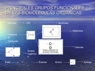 PRINCIPALES GRUPOS FUNCIONALES
DE LAS BIOMOLÉCULAS ORGÁNICAS

  Hidroxilo   - OH                    Alcoholes


                                                  Aldehídos
  Carbonil
  o
  Carboxilo

                                                   Cetonas
               Ácidos
               orgánico
               s

Éster                     Ésteres   Amino                     Aminas
 
