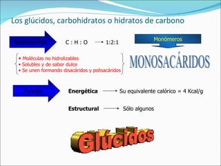 Los glúcidos, carbohidratos o hidratos de carbono Bioelementos C : H : O 1:2:1 Monómeros MONOSACÁRIDOS Moléculas no hidrolizables Solubles y de sabor dulce Se unen formando disacáridos y polisacáridos Función Energética Su equivalente calórico = 4 Kcal/g Estructural Sólo algunos 