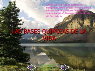 LAS BASES QUIMICAS DE LA VIDA CAPSULA: “ La vida se desarrolla siempre en medio acuoso, lo que queda, al eliminarla, es un residuo formado por sales minerales ”, Biología, Cuarto Grado de Secundaria COLEGIO: “GUILLERMO E. BILLINGHURST” “ ENSEÑAMOS HOY LO QUE OTROS ENSEÑARAN MAÑANA” 