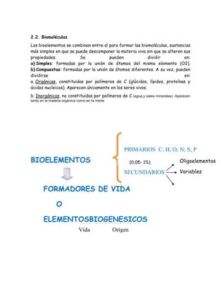 2.2. Biomoléculas
Los bioelementos se combinan entre sí para formar las biomoléculas, sustancias
más simples en que se puede descomponer la materia viva sin que se alteren sus
propiedades.
Se
pueden
dividir
en:
a) Simples: formadas por la unión de átomos del mismo elemento (O2).
b) Compuestas: formadas por la unión de átomos diferentes. A su vez, pueden
dividirse
en:
a. Orgánicas, constituidas por polímeros de C (glúcidos, lípidos, proteínas y
ácidos nucleicos). Aparecen únicamente en los seres vivos.
b. Inorgánicas, no constituidas por polímeros de C (agua y sales minerales). Aparecen
tanto en la materia orgánica como en la inerte.

PRIMARIOS C; H; O; N; S; P

BIOELEMENTOS

(0,05- 1%)

SECUNDARIOS

FORMADORES DE VIDA
O
ELEMENTOSBIOGENESICOS
Vida

Origen

Oligoelementos
Indispensables
Variables

 