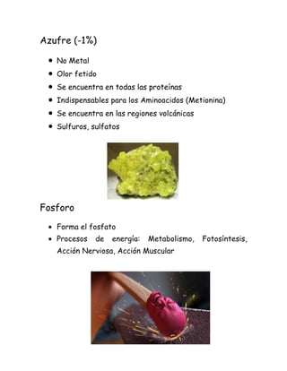 Azufre (-1%)
No Metal
Olor fetido
Se encuentra en todas las proteínas
Indispensables para los Aminoacidos (Metionina)
Se encuentra en las regiones volcánicas
Sulfuros, sulfatos

Fosforo
Forma el fosfato
Procesos

de

energía:

Metabolismo,

Acción Nerviosa, Acción Muscular

Fotosíntesis,

 