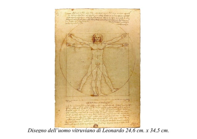 La basilica vitruviana di fano e l'uomo vitruviano di leonardo PPT