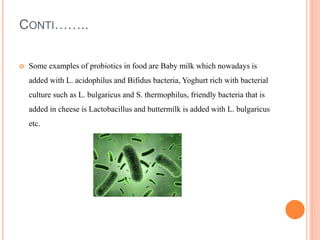 CONTI……..
 Some examples of probiotics in food are Baby milk which nowadays is
added with L. acidophilus and Bifidus bacteria, Yoghurt rich with bacterial
culture such as L. bulgaricus and S. thermophilus, friendly bacteria that is
added in cheese is Lactobacillus and buttermilk is added with L. bulgaricus
etc.
 