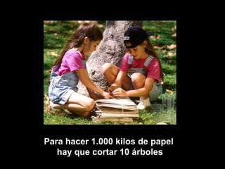 Para hacer 1.000 kilos de papel
   hay que cortar 10 árboles
 
