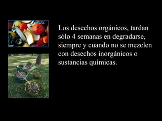 Los desechos orgánicos, tardan
sólo 4 semanas en degradarse,
siempre y cuando no se mezclen
con desechos inorgánicos o
sustancias químicas.
 